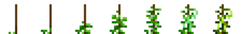 Greenbean (Phases).png