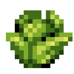 Cabbage (Harvest).png