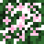 Cherry (Flower).png