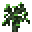 Grid Sapling (Willow).png