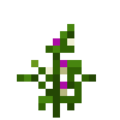 Soybean (5).png