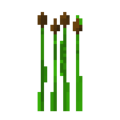 Cat Tails.png