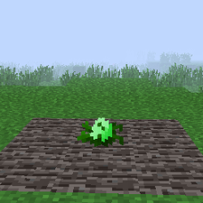 Cabbage - TerraFirmaCraft Wiki