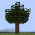 Oak Tree.png