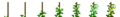 Greenbean (Phases).png