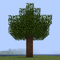 Ash Tree.png