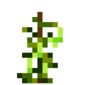 Greenbean (7).png